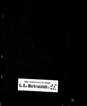 Gerichtshandelsbuch der Ober- und Erbgerichte Großdölzig, Bd. 08
