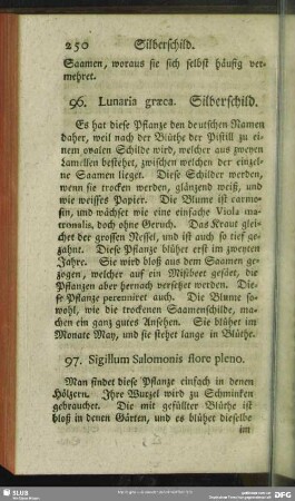 96. Lunaria graeca. Silberschild