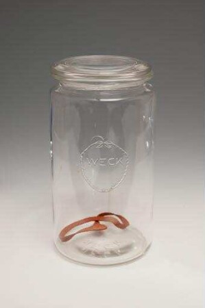 o.A. (Einmachglas mit Deckel und Gummi)
