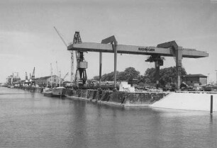 Verladeanlage im Mühlauhafen, Mannheim