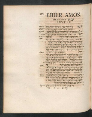 Liber Amos, Hebraice [...] Caput 1. - 9.