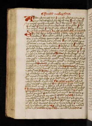 Liber de nobilitate animae. Prologus.
