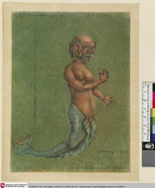 La Sirenne; Tom. II. Plan 9 mars 1757 Page [238]
