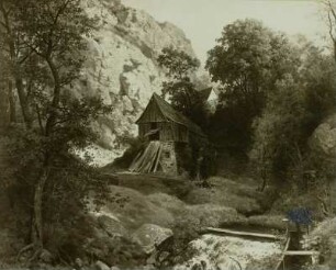Schneidemühle im Loschwitzgrund : Dresden, Loschwitzgrund, Hänsels Schneidemühle, Gemälde 1858