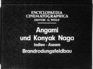 Angami und Konyak Naga (Indien, Assam) - Brandrodungsfeldbau