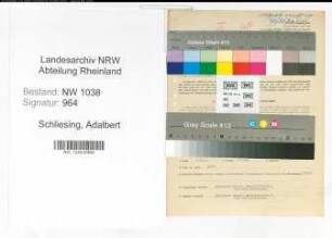Entnazifizierung Adalbert Schliesing , geb. 18.06.1897 (Angestellter)
