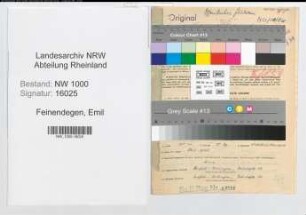 Entnazifizierung Emil Feinendegen, geb. 12.07.1890 (Studienrat)