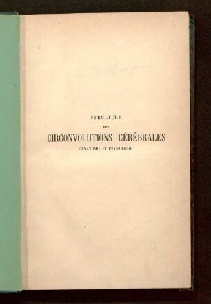 Structure des circonvolutions cérebrales