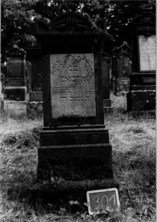 Grabstein 301 [Nir S. 189 Nr. 17.10]
