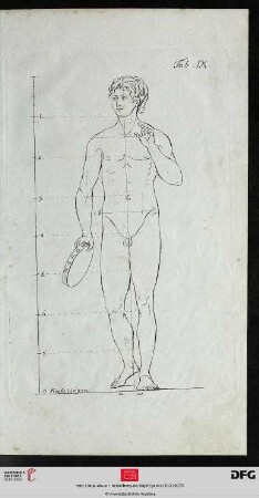 Taf. IX Der ganze Körper des Mannes [(Proportionen)]