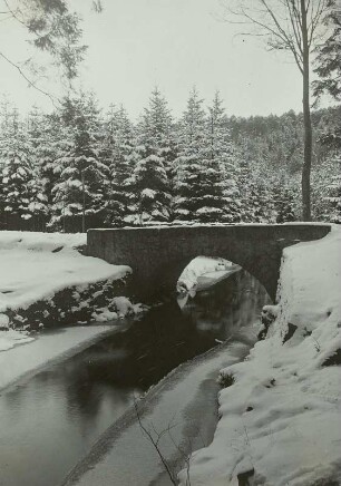 Dresdner Heide, Kuhschwanzbrücke über die Prießnitz im Winter