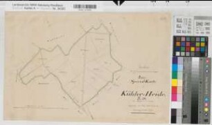 Schwitten (Menden), Teilung der Kühler Heide, Reinkarte