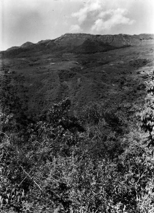 Das Veladero-Gebirge : Berglandschaft mit Vegetation