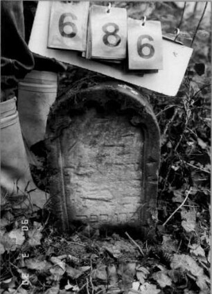 Grabstein 686 (neu: 291)