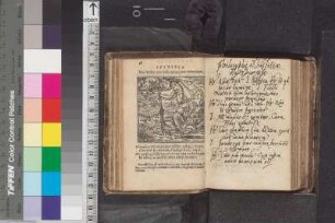 Graulus, Vitus; Blatt 38