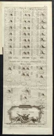 Pl. 7.