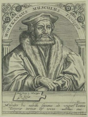 Bildnis des Wolfgang Musculus
