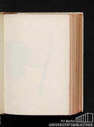 Fig. 57. - Malvasia lunga (ex Amp. ital.). 1/2 grand. nat.