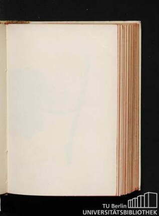Fig. 57. - Malvasia lunga (ex Amp. ital.). 1/2 grand. nat.