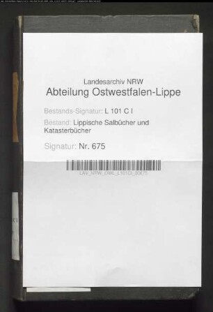 Konzept des Salbuchs des Amtes Horn von 1854, Bd. 3