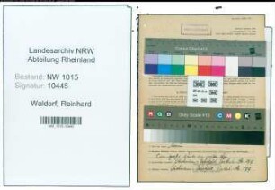 Entnazifizierung Reinhard Waldorf , geb. 03.09.1911 (Schneider)