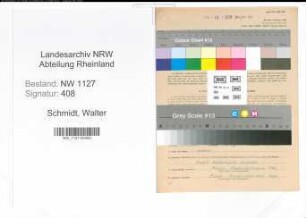 Entnazifizierung Walter Schmidt , geb. 04.07.1909 (Waldarbeiter)