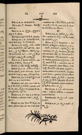 1179-1180, Z