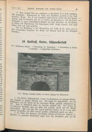 10 Kalktuff, Sinter, Süßwasserkalk