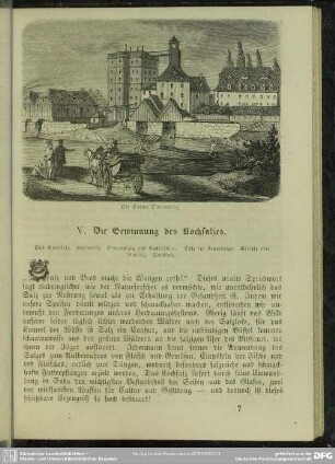 V. Die Gewinnung des Kochsalzes