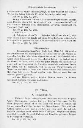 IV. Thiere.