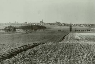 Strehla, Stoppelfeld