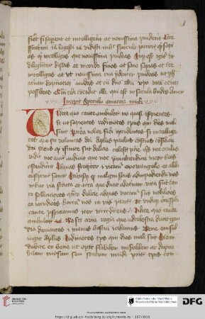 Speculum amatorum mundi