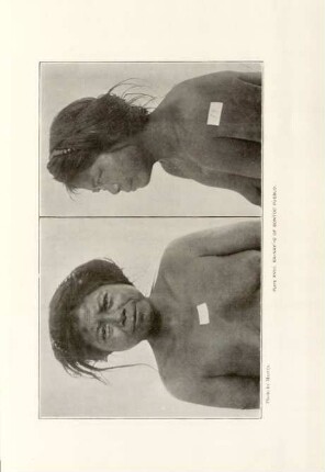 Plate XVIII. Ka-nay'-u of Bontoc pueblo