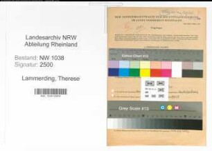Entnazifizierung Therese Lammerding , geb. 20.04.1893 (Lehrerin)
