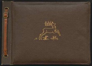 Album zu den Olympischen Winterspielen in Cortina d'Ampezzo 1956 : Album zu den Olympischen Winterspielen in Cortina d'Ampezzo 1956. Kunstledereinband mit Goldprägung und Gürtelbindung; 18 x 26 x 2,5 cm (1956). Dresden: SLUB/DF 2017.C.108