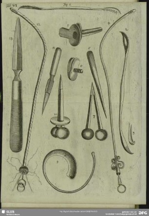 Tab. VI. Fig. 1 - 13