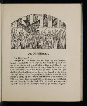 Das Gänseblümchen.