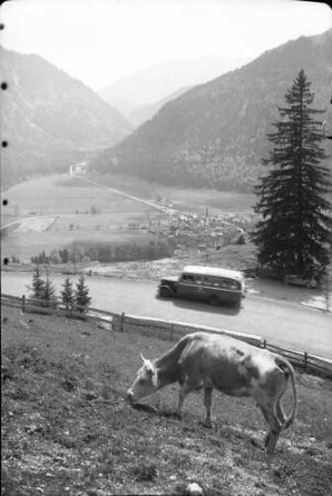 Bayrischzell: Kuh und Kraftpost, Hintergrund Alpenstraße
