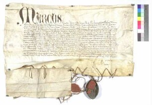 Ablassbrief für diejenigen, welche die St. Jacobskirche in Hohenberg besuchen, verwilligt von mehreren Kardinälen.