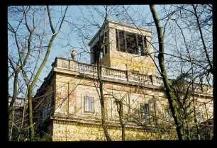 Orangerie 20.4.77.