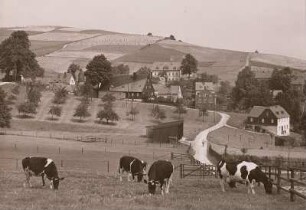 Meinersdorf, Hof Arnold, davor Dauerweiden und Obstanlagen des Erbhofes