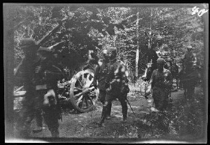 Bazien (Dep. Vosges, Frankreich): Marsch durch einen Wald