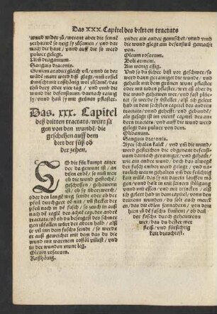 Das. xxx. Capitel deß dritten tractats/ würt sagen von den wunden/ die geschehen auff dem bret der füß oder der zehen.