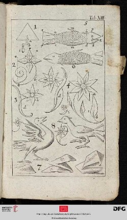Tab. XIII [Div. Objekte: Fisch, Blume, Vogel (Schemata)]