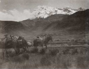 Chimborazo von Totorillas aus, Südseite