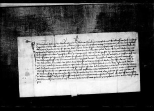 Hans von Bodman d. Ä., Landvogt, verspricht, Kaspar von Klingenberg für seine Angültschaft gegen seine Frau Sophia von Bodman, geb. von Rechberg wegen ihrer Heimsteuer, Wiederlegung und Morgengabe schadlos zu halten.