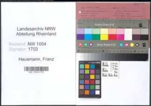 Entnazifizierung Franz Hausmann , geb. 27.05.1896 (Schmied)