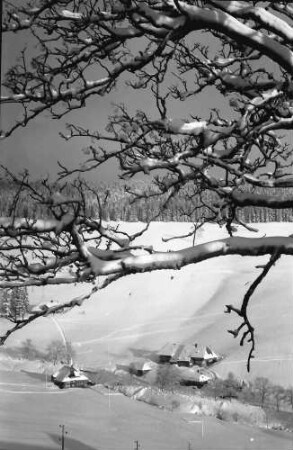 Todtnauberg: Hof im Ortsteil Rütte; mit verschneiten Ästen im Vordergrund