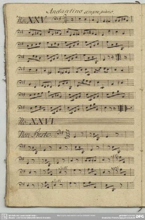 25. Anonymus, Andante, e-Moll