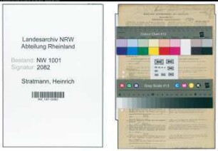 Entnazifizierung Heinrich Stratmann, geb. 05.11.1883 (Bergwerkdirektor)